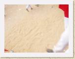 07July05 - Nay, Jenny, Baz, Andy in Spain - Running of Bulls 198 * 2272 x 1704 * (923KB)